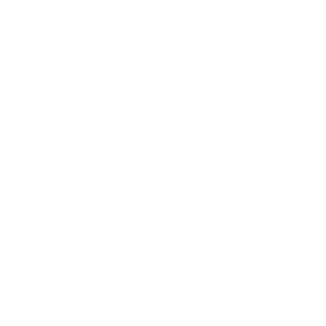 Turtle logo